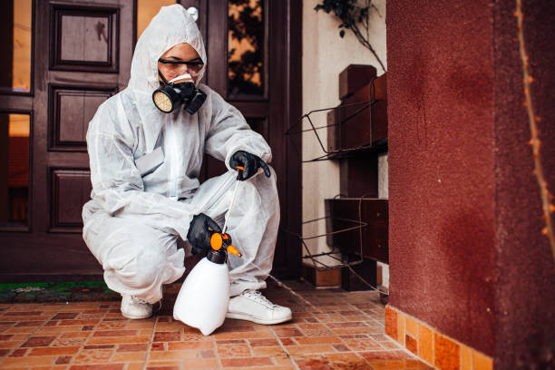 Reliable Cockroach Control contractor in Luverne, AL by Nex Pest Control